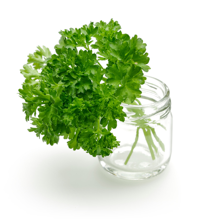 Fresh green parsley isolated on white backgroundの写真素材