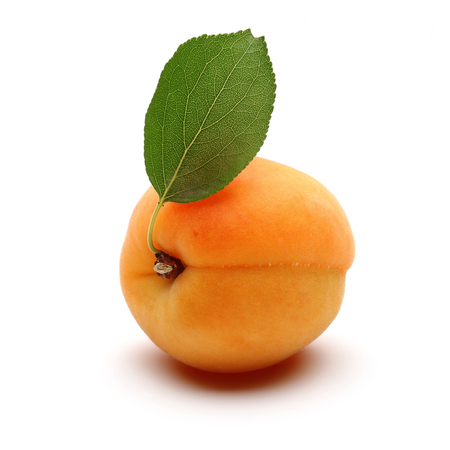 Single fresh apricot with leaf isolated on white backgroundの写真素材
