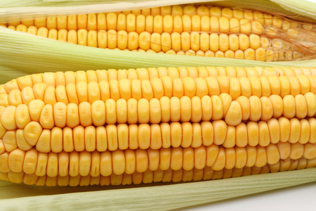 Fresh corn and leaves, full frame, macro shot