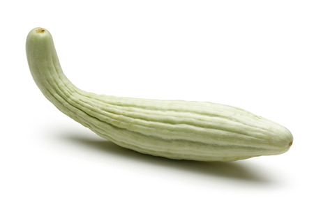 Single Armenian cucumber isolated on white backgroundの写真素材