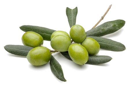 Green olives with leaves isolated on white backgroundの写真素材