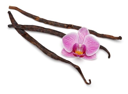 Vanilla sticks with orchid flower isolated on white backgroundの写真素材