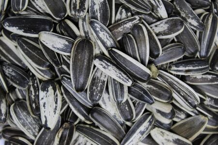 Organic sunflower seed. Sunflower crack seeds. Close up. Texture or background concept.の写真素材