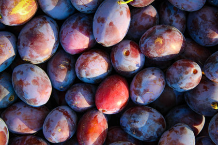 Ripe plums. Close up of fresh plums, top view. Macro photo food fruit plums. Texture background of...