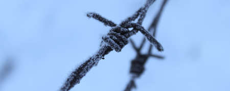 Banner. Close up. A corroded barbed wire on which frost had caught. Snow in the background. Frost on barbed wire.の写真素材