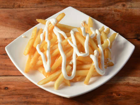 French fries topped with cheese, served in a plate over a rustic wooden background, selective focus