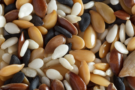 Close up of brown and yellow linseed, white and black sesame, poppy and sunflower seeds. Healthy food background with seed mixture. の写真素材