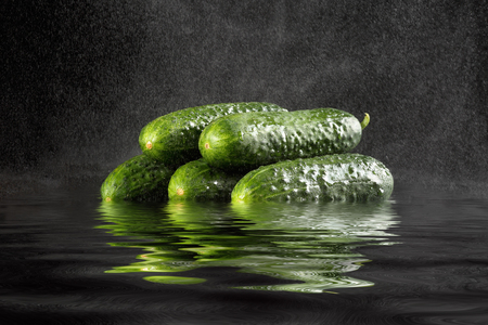 Spraying water on five fresh, organic and healthy gherkins (small cucumbers), flooded and reflected on water, against black backgroundの写真素材