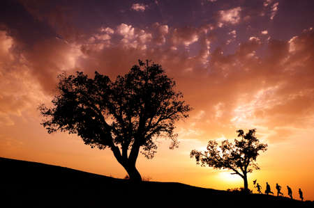 Some young guys playing beside this great tree at golden sunset