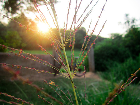 sunshine wallpaper, colorfulの写真素材