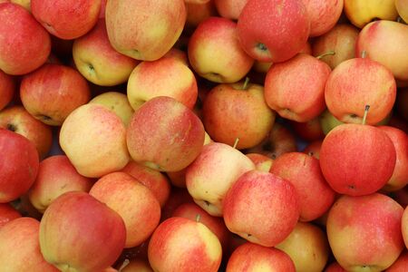 Fresh apples background texture, lots of apple fruitsの写真素材