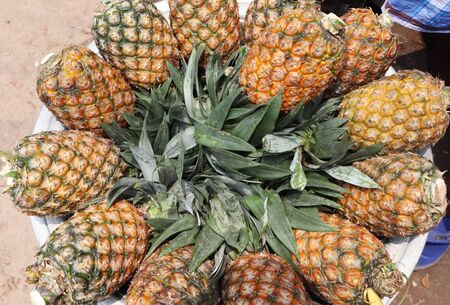Pineapple. Lots of pineapple in a bowlの写真素材