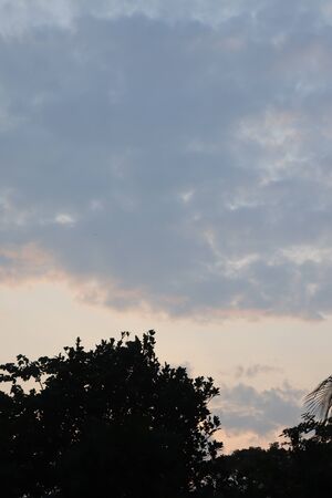 Cloudy sky. Blue sky on cloudy day with treeの写真素材