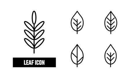 Leaf Lineal Icon Symbol Vector. Black Outline Leaf Iconのイラスト素材