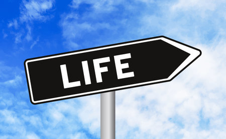 Life road sign on blue sky backgroundの写真素材