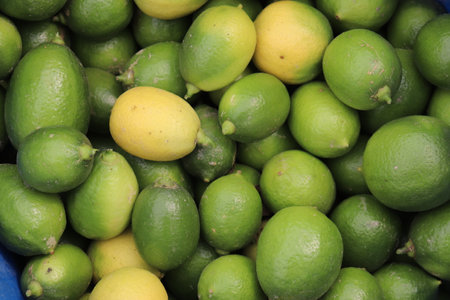 Close-up captures a heap of ripe green limes along with a few yellow lemons, showcasing their vibrant textures and colors.の写真素材