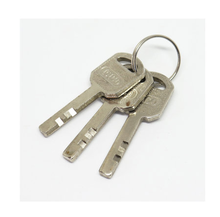 Key ring and keys isolated on white backgroundの写真素材