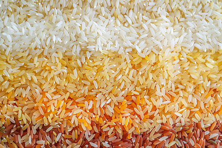 Close up of organic mixed rice backgroundの素材