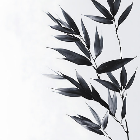 Features detailed bamboo leaves in monochrome, presented on a clean white background. Showcases the plant's textured foliage with a minimalist composition.の素材