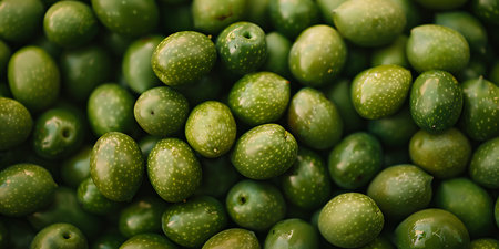 Green olives background. Top view, flat layの素材