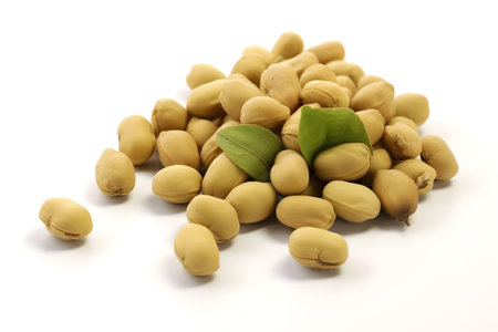 Close up soybean on white backgroundの素材