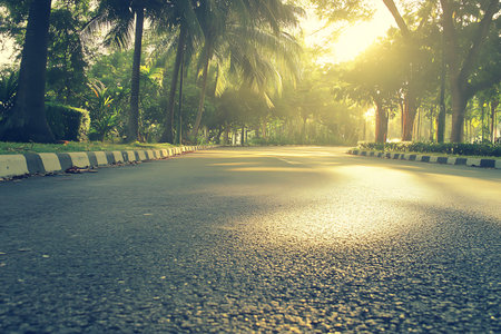 Asphalt road bordered by tropical trees and plants in bright morning sun. Scenery includes palms, greenery, and sunlight shining through trees.の素材