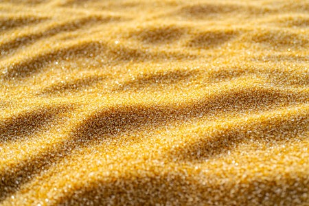 Close up shot of a rippled golden sand surface. The texture is detailed with visible granules, and light shimmers across the surface.の素材
