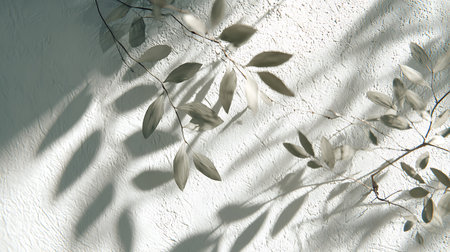 A soft, monochromatic image showcases delicate leaf branches casting shadows on a textured white wall. The interplay of light and shadow adds depth and visual interest.の素材
