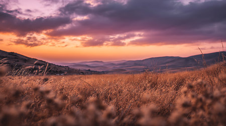 Wide shot showcasing a vast, golden field with hills in the background and a stunning sunset displaying purple and orange hues in the sky. Evening warmth permeates this serene landscape.の素材