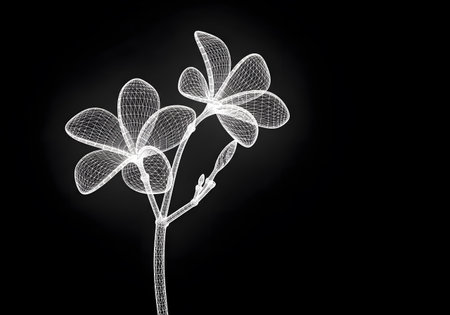 Frangipani flower, polygonal structure, wire modelの素材