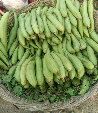 A close-up view of a woven basket overflowing with freshly harvested, pale green snake gourds, ready...