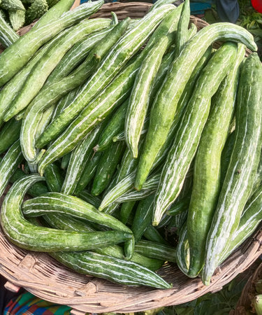 A close-up view of a pile of fresh, green snake gourds displayed in a rustic woven basket.の写真素材