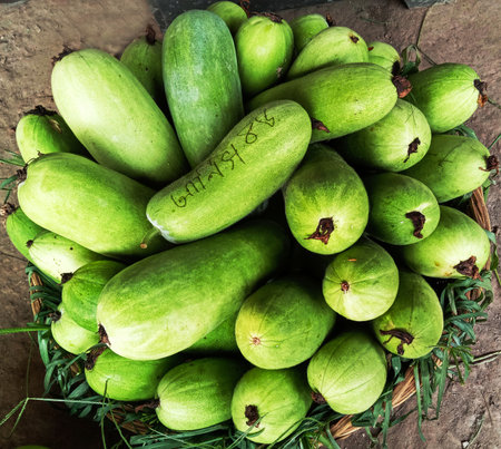 A bountiful collection of ripe green vegetables and fruits, showcasing a variety of shapes and textures, piled high in a rustic basket.の写真素材
