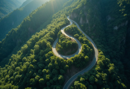 An aerial view captures a winding road snaking through a dense, vibrant green forest on a sun-drenched mountainside.の素材