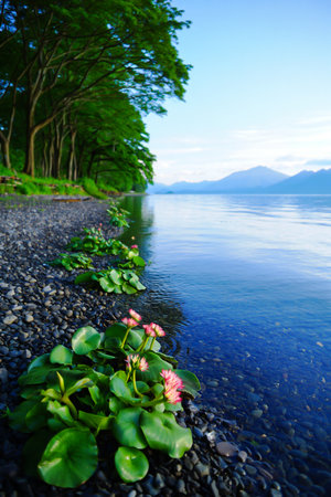 A serene view of a calm lake bordered by a rocky shore, vibrant green foliage, and majestic mountains under a clear blue sky.の素材