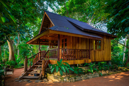 A charming wooden cabin with a porch and stairs, surrounded by vibrant tropical foliage and trees.の素材