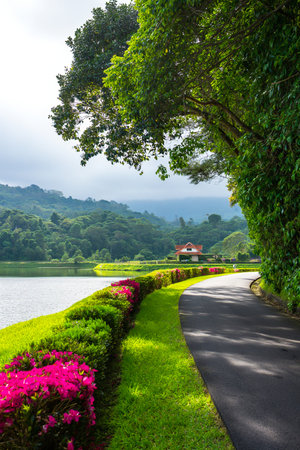 A picturesque scene with vibrant pink flowers, manicured green hedges, a calm lake, and distant rolling hills under a cloudy sky.の素材