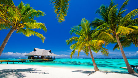 A serene tropical beach scene with crystal clear turquoise water, white sand, lush palm trees, and a charming overwater bungalow.の素材