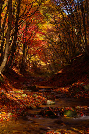 A winding forest path in autumn, illuminated by dappled sunlight filtering through vibrant, colorful foliage.の素材