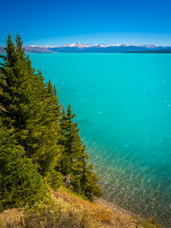 A stunning natural landscape featuring a bright turquoise lake, dense evergreen forest, and a clear blue sky with distant mountains.の素材
