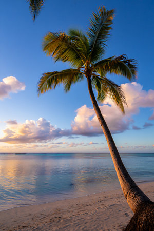 A lone palm tree leans over a tranquil beach as the sun sets, casting warm colors across the sky and ocean.の素材