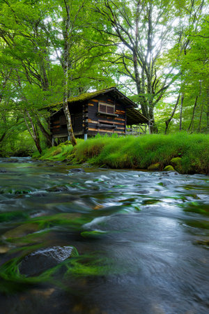 A weathered log cabin sits peacefully in a lush green forest, with a clear, fast-flowing stream in the foreground.の素材
