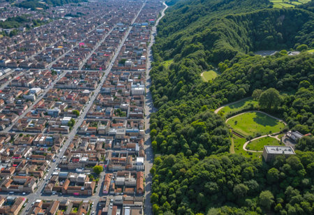 Urban sprawl meets lush forest in stark environmental contrastの素材