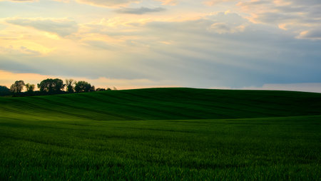A vast expanse of lush green rolling hills stretches towards a dramatic sky filled with wispy clouds. Silhouetted trees dot the horizon, creating a peaceful and picturesque landscape.の素材