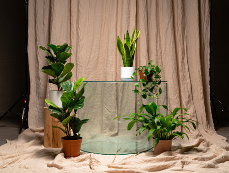 A collection of various indoor plants, including fiddle leaf figs and snake plants, are artfully displayed around a transparent glass table. A draped, light pink fabric creates a soft, elegant backdrop.の素材