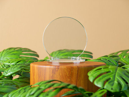 A minimalist arrangement featuring a clear oval display stand atop a rustic wooden pedestal, artfully framed by vibrant green Monstera leaves against a soft tan background.の素材