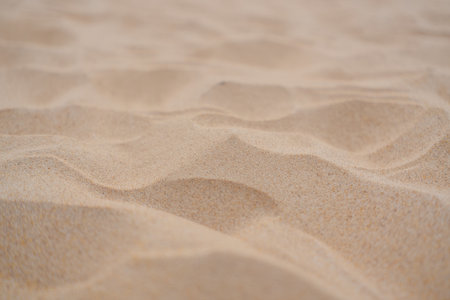 Close-up view of undulating sand dunes with subtle shadows and highlights.の素材