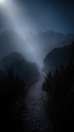Path through thick fog and trees, dramatic light ray.の素材