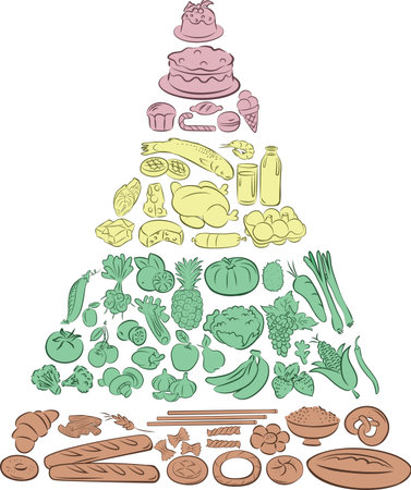 Vector Illustration of Food Pyramid showing the main Food Groupsのイラスト素材