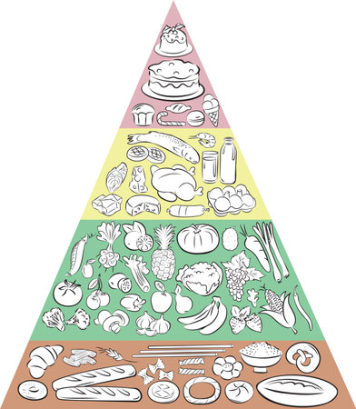Vector Illustration of Food Pyramid showing the main Food Groupsのイラスト素材